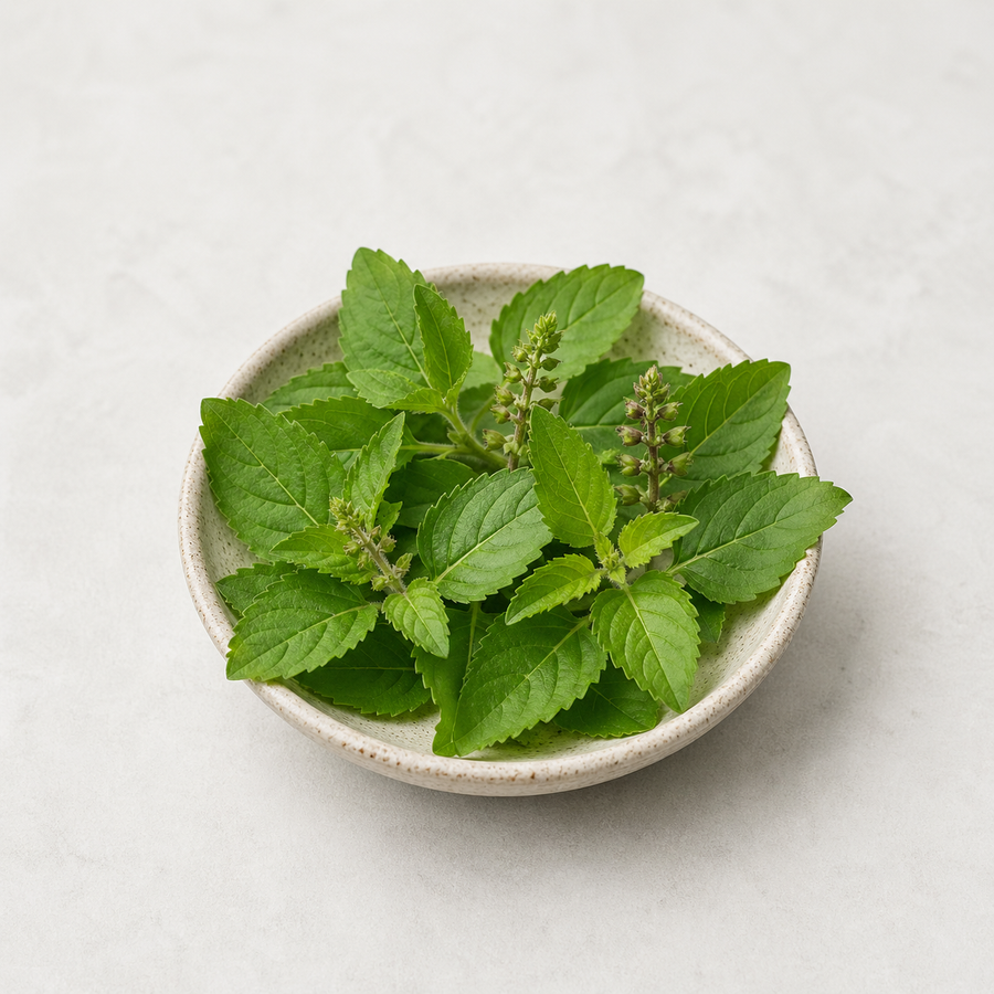 Tulsi